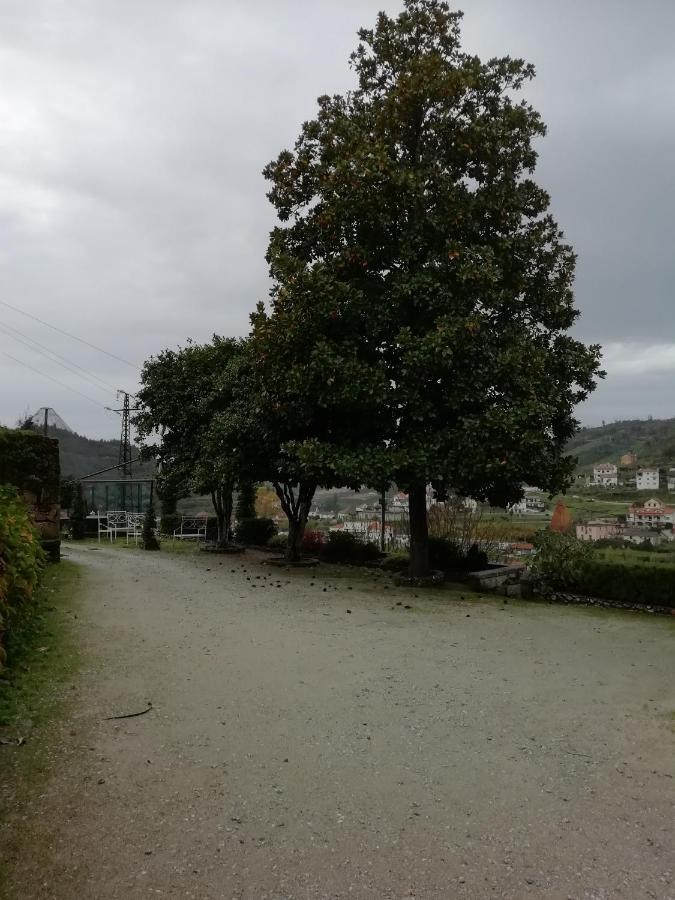 Quinta Da Tapada Villa Avô Eksteriør billede