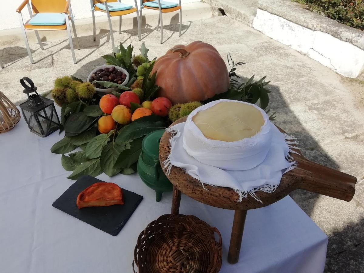 Quinta Da Tapada Villa Avô Eksteriør billede