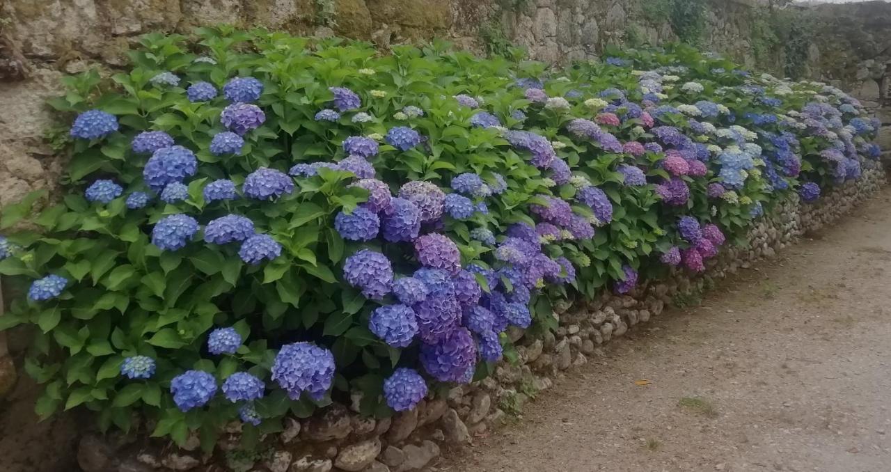 Quinta Da Tapada Villa Avô Eksteriør billede